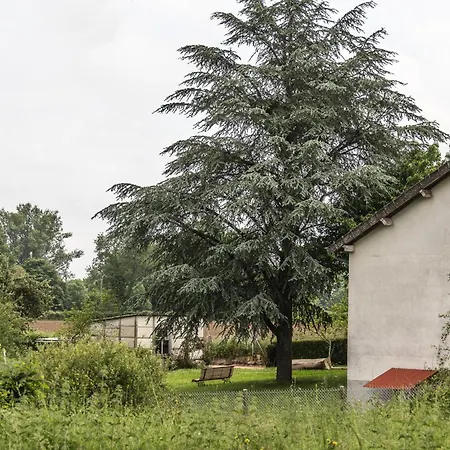 Paisible En Auvergne Pour 6 Pers., Animaux Admis - Fr-1-489-127 * Mazirat